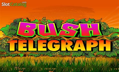 Bush Telegraph Review 2024